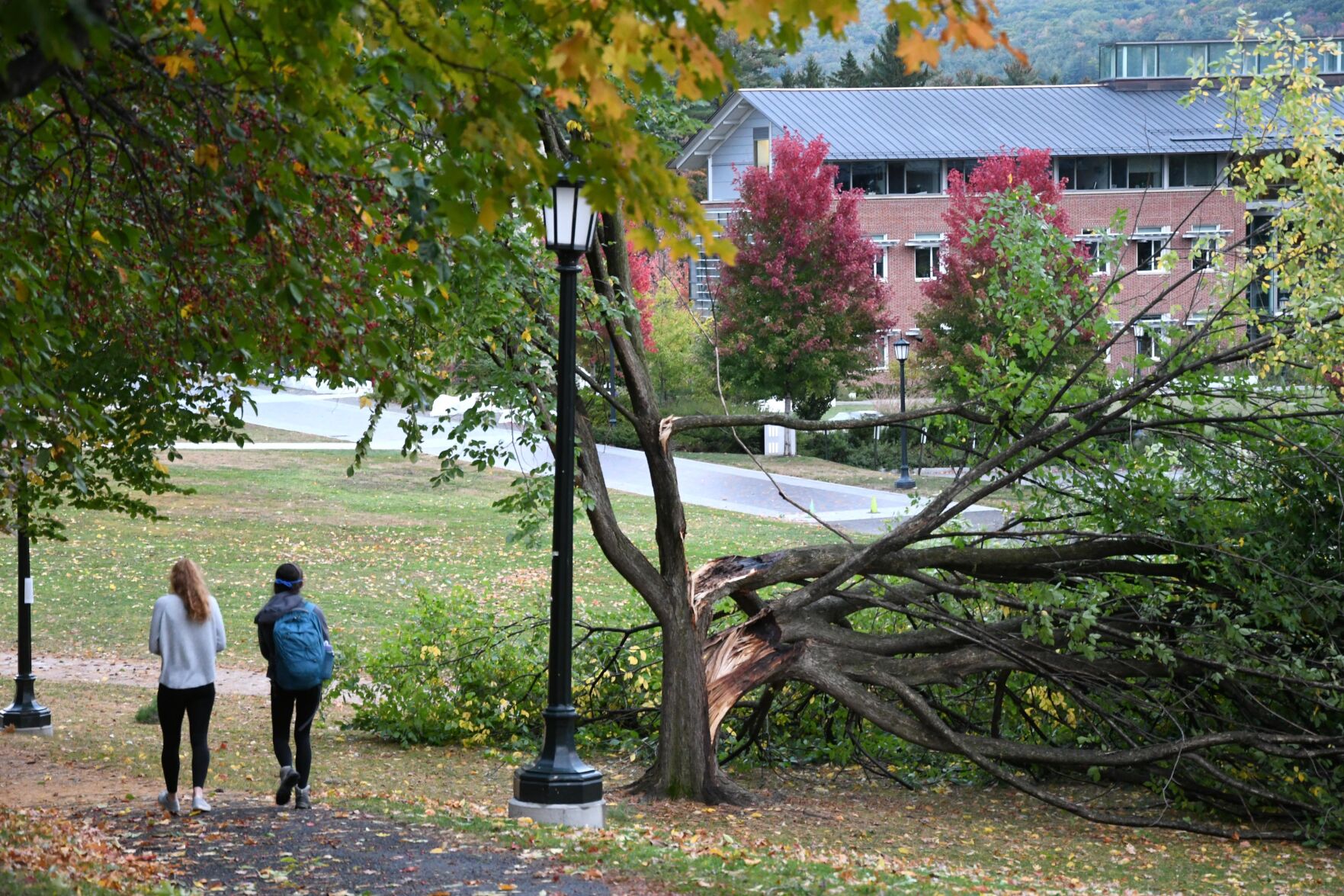 Storm Damage